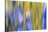 Colorful abstract impressions of water and reflections.-Brent Bergherm-Stretched Canvas