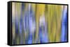 Colorful abstract impressions of water and reflections.-Brent Bergherm-Framed Stretched Canvas