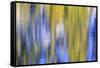 Colorful abstract impressions of water and reflections.-Brent Bergherm-Framed Stretched Canvas