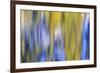 Colorful abstract impressions of water and reflections.-Brent Bergherm-Framed Photographic Print