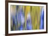 Colorful abstract impressions of water and reflections.-Brent Bergherm-Framed Photographic Print