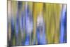 Colorful abstract impressions of water and reflections.-Brent Bergherm-Mounted Photographic Print