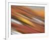 Colorful Abstract of Autumn Tundra Colors, Denali National Park, Alaska, USA-Arthur Morris-Framed Photographic Print