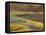 Colorful Abstract of Autumn Tundra Colors, Denali National Park, Alaska, USA-Arthur Morris-Framed Stretched Canvas