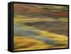 Colorful Abstract of Autumn Tundra Colors, Denali National Park, Alaska, USA-Arthur Morris-Framed Stretched Canvas