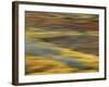 Colorful Abstract of Autumn Tundra Colors, Denali National Park, Alaska, USA-Arthur Morris-Framed Photographic Print