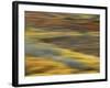 Colorful Abstract of Autumn Tundra Colors, Denali National Park, Alaska, USA-Arthur Morris-Framed Photographic Print