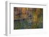 Colorful abstract reflection in lake water-Anna Miller-Framed Photographic Print