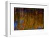 Colorful abstract reflection in lake water-Anna Miller-Framed Photographic Print