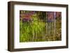 Colorful abstract reflection in lake water-Anna Miller-Framed Photographic Print