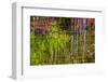 Colorful abstract reflection in lake water-Anna Miller-Framed Photographic Print