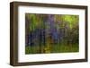 Colorful abstract reflection in lake water-Anna Miller-Framed Photographic Print