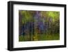 Colorful abstract reflection in lake water-Anna Miller-Framed Photographic Print