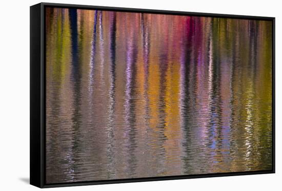 Colorful abstract reflection in lake water-Anna Miller-Framed Stretched Canvas