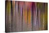 Colorful abstract reflection in lake water-Anna Miller-Stretched Canvas