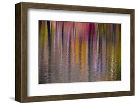 Colorful abstract reflection in lake water-Anna Miller-Framed Photographic Print