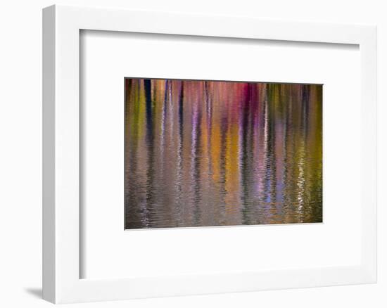 Colorful abstract reflection in lake water-Anna Miller-Framed Photographic Print