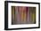 Colorful abstract reflection in lake water-Anna Miller-Framed Photographic Print