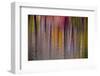 Colorful abstract reflection in lake water-Anna Miller-Framed Photographic Print