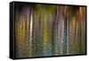 Colorful abstract reflection in lake water-Anna Miller-Framed Stretched Canvas