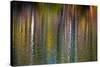 Colorful abstract reflection in lake water-Anna Miller-Stretched Canvas