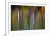 Colorful abstract reflection in lake water-Anna Miller-Framed Photographic Print