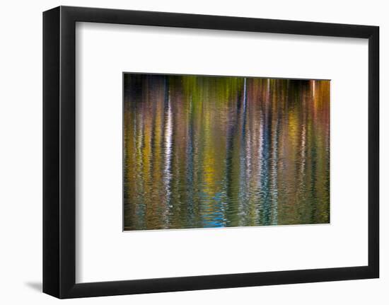 Colorful abstract reflection in lake water-Anna Miller-Framed Photographic Print