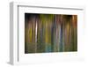 Colorful abstract reflection in lake water-Anna Miller-Framed Photographic Print