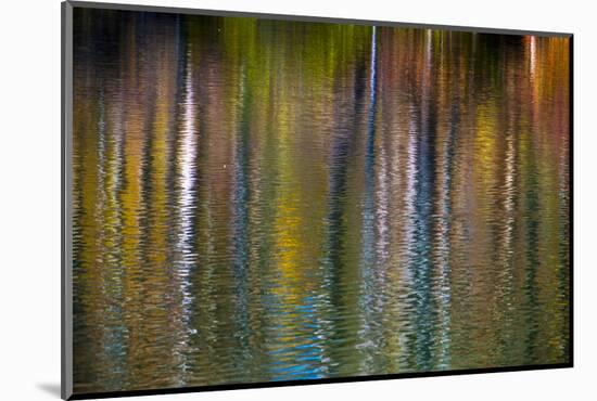 Colorful abstract reflection in lake water-Anna Miller-Mounted Photographic Print