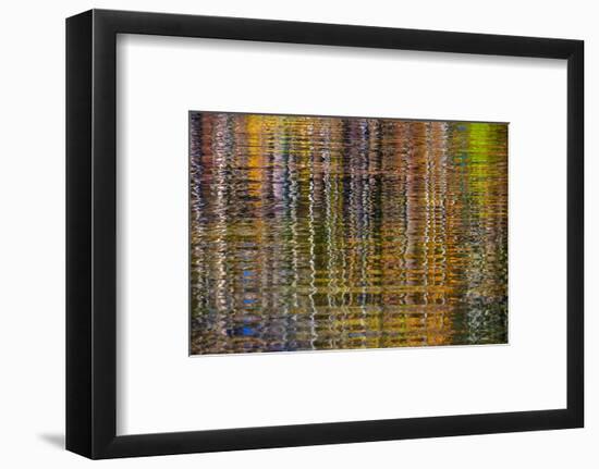 Colorful abstract reflection in lake water-Anna Miller-Framed Photographic Print