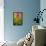 Colorful Agave II-Douglas Taylor-Framed Stretched Canvas displayed on a wall