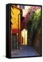 Colorful Alley in Portofino-George Oze-Framed Stretched Canvas