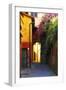 Colorful Alley in Portofino-George Oze-Framed Photographic Print