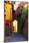 Colorful Alley in Portofino-George Oze-Mounted Photographic Print