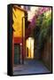 Colorful Alley in Portofino-George Oze-Framed Stretched Canvas