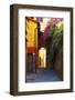 Colorful Alley in Portofino-George Oze-Framed Photographic Print