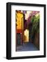Colorful Alley in Portofino-George Oze-Framed Photographic Print