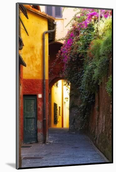 Colorful Alley in Portofino-George Oze-Mounted Photographic Print