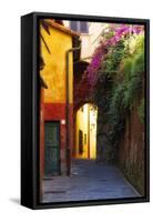 Colorful Alley in Portofino-George Oze-Framed Stretched Canvas