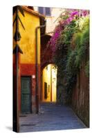 Colorful Alley in Portofino-George Oze-Stretched Canvas