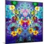 Colorful and Symmetric Photographic Layer Work of Blossoms-Alaya Gadeh-Mounted Photographic Print