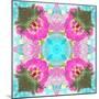 Colorful and Symmetric Photographic Layer Work of Blossoms-Alaya Gadeh-Mounted Photographic Print