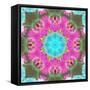 Colorful and Symmetric Photographic Layer Work of Blossoms-Alaya Gadeh-Framed Stretched Canvas