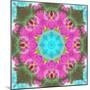 Colorful and Symmetric Photographic Layer Work of Blossoms-Alaya Gadeh-Mounted Photographic Print