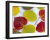 Colorful Aspen Leaves on Snow, Colorado, USA-Julie Eggers-Framed Premium Photographic Print