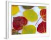 Colorful Aspen Leaves on Snow, Colorado, USA-Julie Eggers-Framed Photographic Print