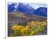 Colorful Aspens in Logan Canyon, Utah, USA-Julie Eggers-Framed Photographic Print