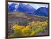 Colorful Aspens in Logan Canyon, Utah, USA-Julie Eggers-Framed Photographic Print