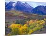 Colorful Aspens in Logan Canyon, Utah, USA-Julie Eggers-Mounted Photographic Print