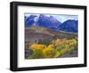 Colorful Aspens in Logan Canyon, Utah, USA-Julie Eggers-Framed Photographic Print